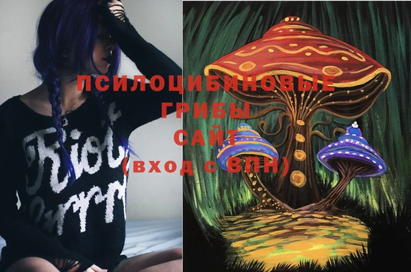 PSILOCYBIN Алексин